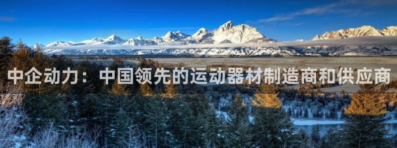 意昂3官方：中企動(dòng)力：中國(guó)領(lǐng)先的運(yùn)動(dòng)器材制造商和供應(yīng)