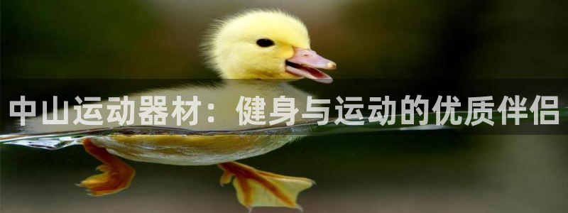 意昂體育3官方客服電話：中山運(yùn)動(dòng)器材：健身與運(yùn)動(dòng)的優(yōu)