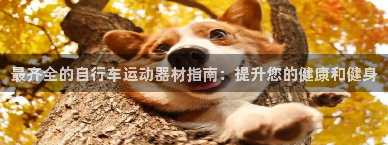 意昂3娛樂(lè)平臺(tái)：最齊全的自行車(chē)運(yùn)動(dòng)器材指南：提升您的