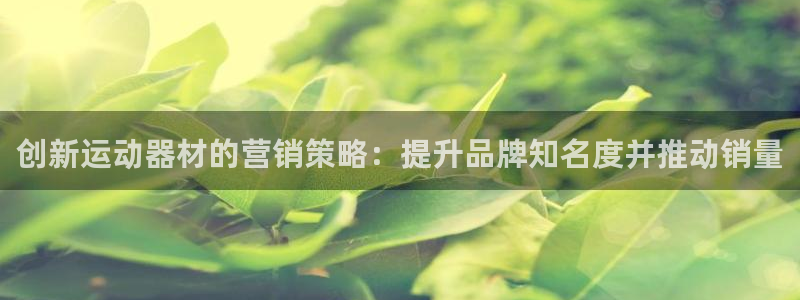 意昂體育3平臺(tái)是正規(guī)平臺(tái)嗎：創(chuàng)新運(yùn)動(dòng)器材的營(yíng)銷(xiāo)策略：