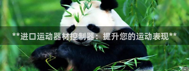 意昂體育3平臺(tái)注冊(cè)流程圖