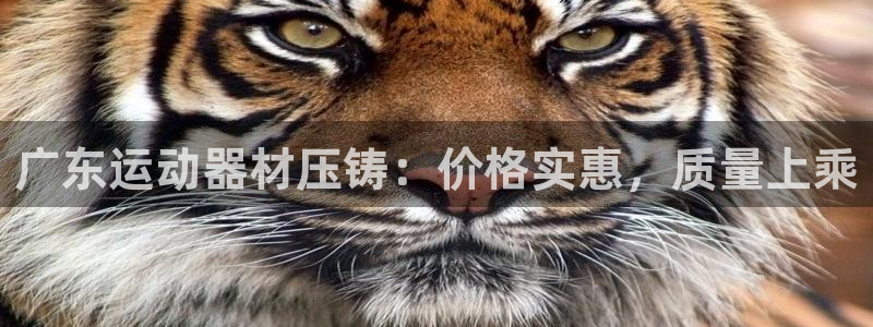 意昂體育3平臺注冊流程圖：廣東運(yùn)動器材壓鑄：價格實惠