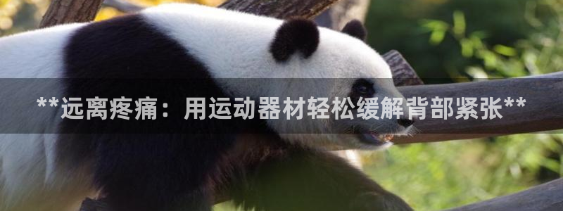 意昂體育3招商電話