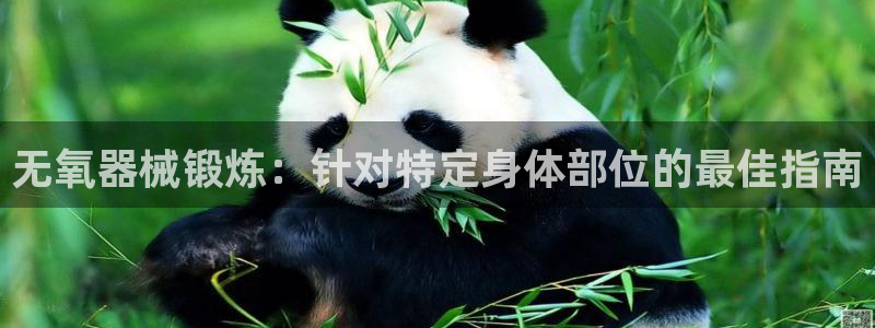 意昂3集團官網(wǎng)首頁網(wǎng)址