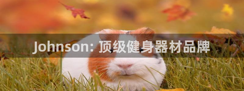 意昂體育3娛樂