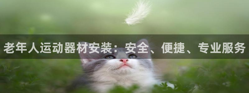 意昂體育3平臺(tái)是正規(guī)平臺(tái)嗎：老年人運(yùn)動(dòng)器材安裝：安全